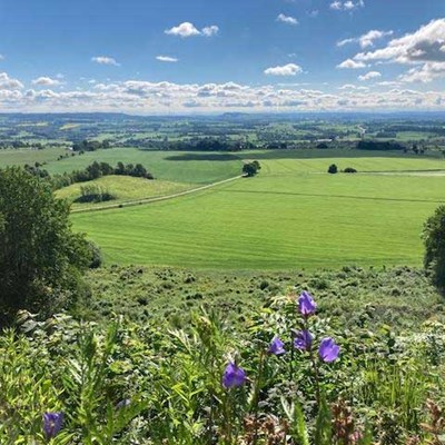 Discover Falköping During NestorFest – More Than Just a Festival!