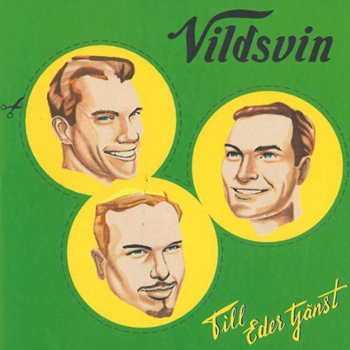 >Vildsvin